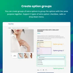 Introducing "option group" feature of PrestaShop product options module
