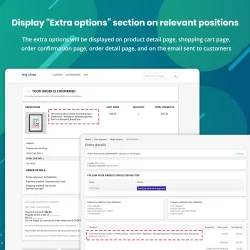 Display "Extra options" section on relevant positions