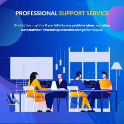 Professional support service