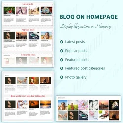 Blog sections displayed on Homepage