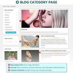 Blog category page