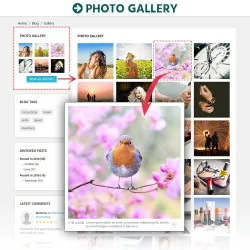 Module blog Prestashop cung cấp một trang bộ sưu tập ảnh chuyên nghiệp