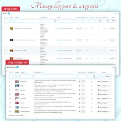 Manage blog posts and categories