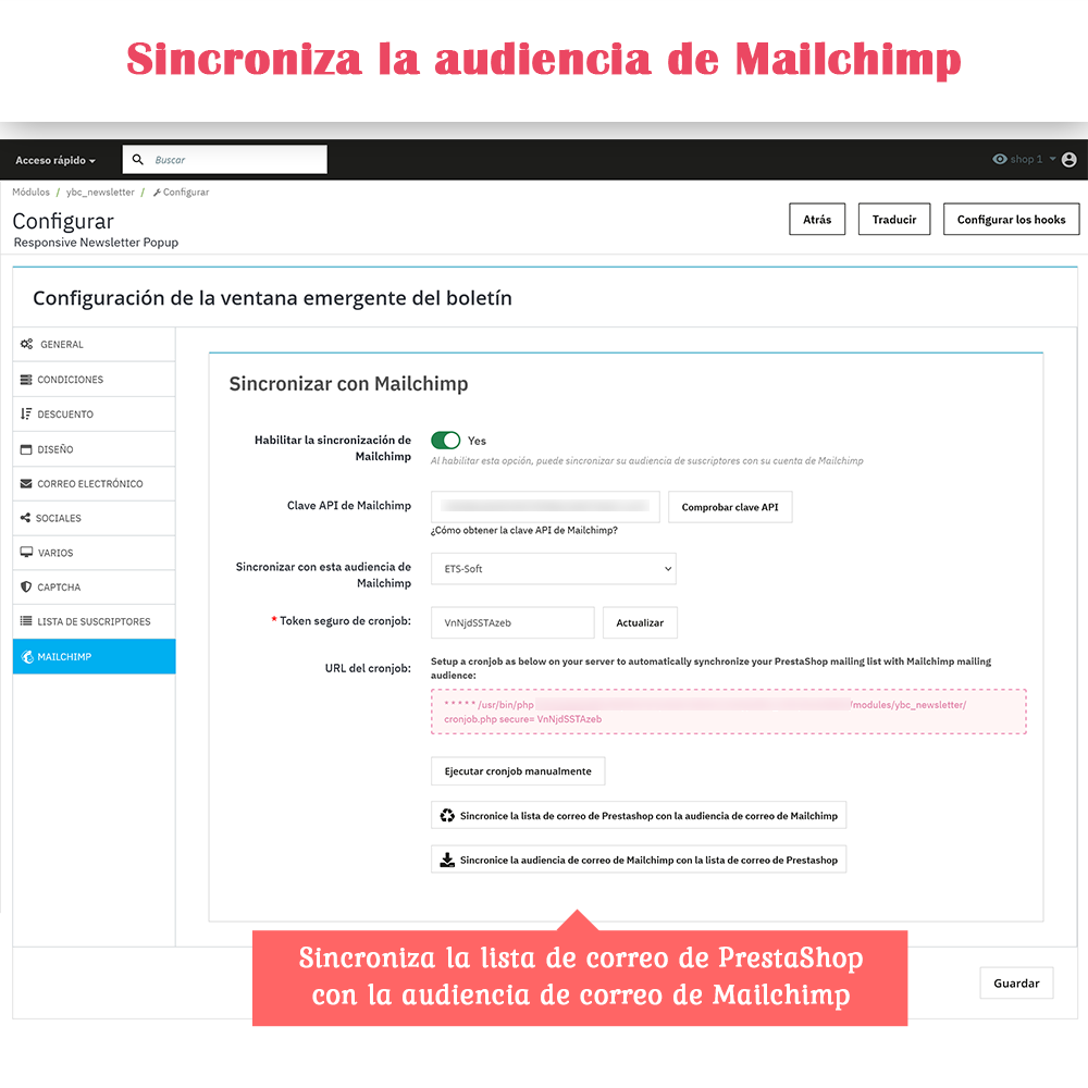 Introducción al módulo Popup de Boletín PrestaShop