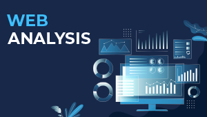 Website Analytics & Optimization